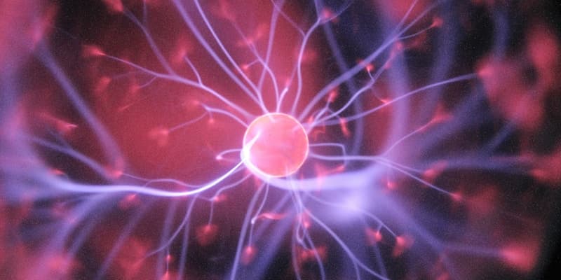 Landmark Patent Defense Victory